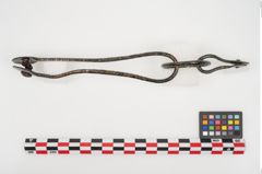 Foto von Bronzeösenzwinge (NHMW-PRAE-025101)